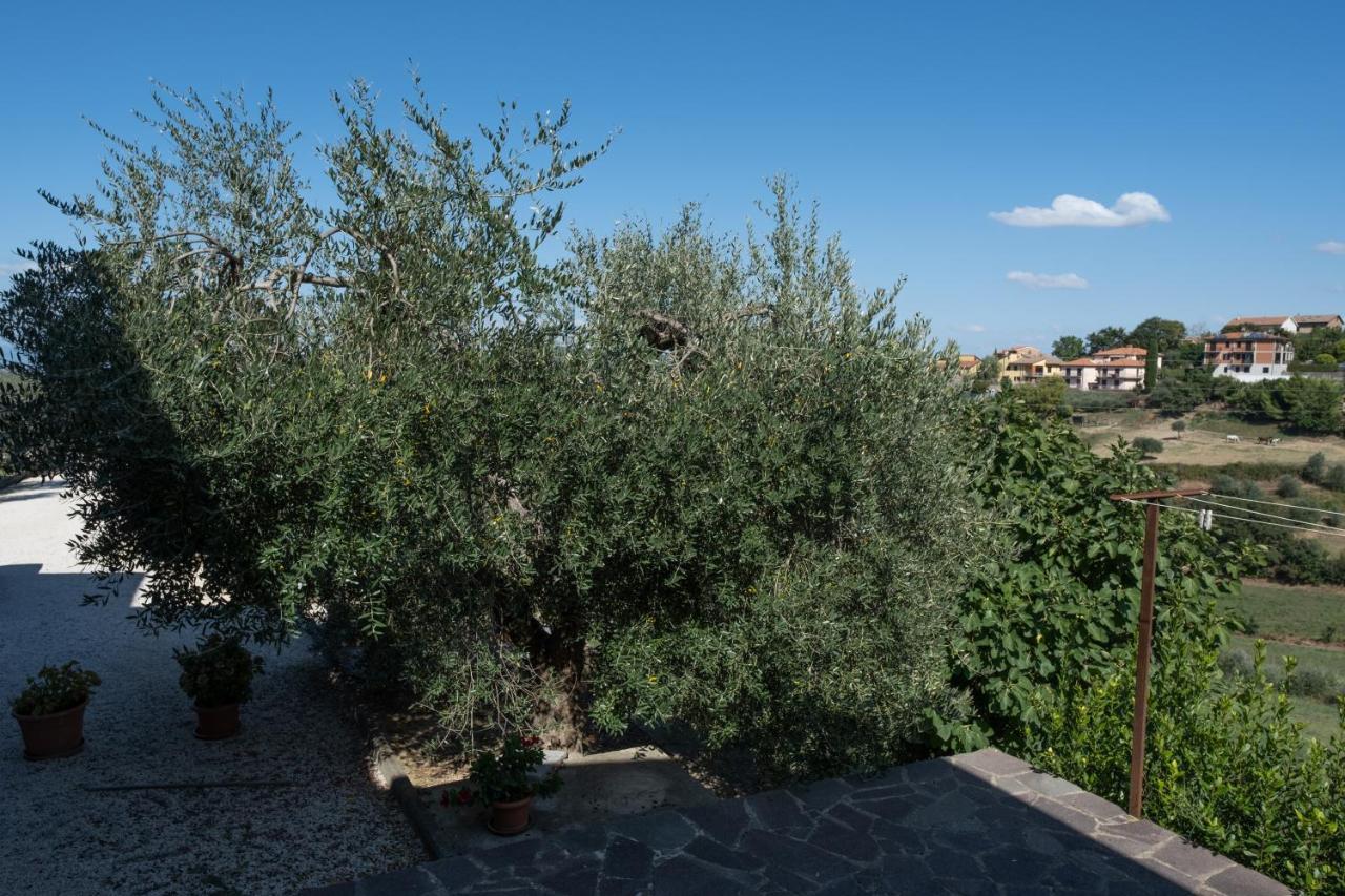 La Casa Di Sara Lejlighed Città della Pieve Eksteriør billede